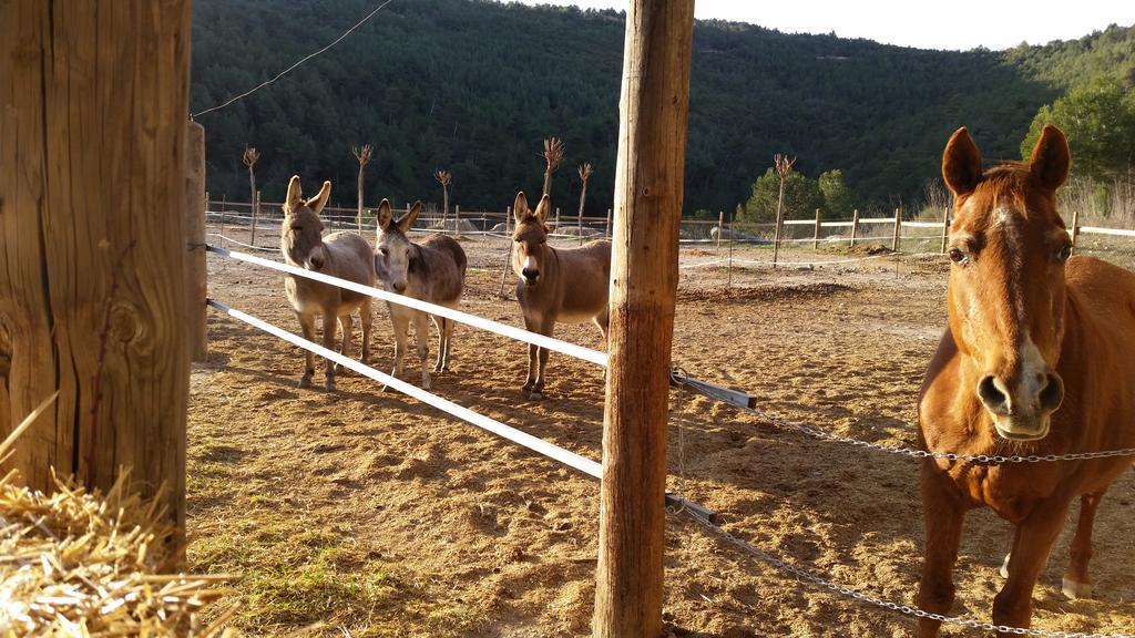 Les Muntades Villa Jorba Buitenkant foto