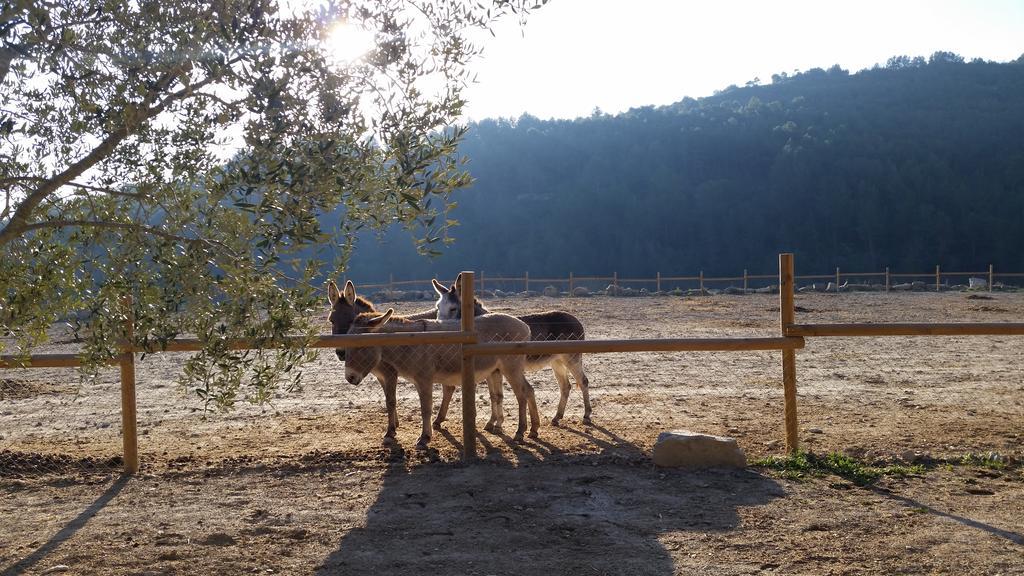 Les Muntades Villa Jorba Buitenkant foto